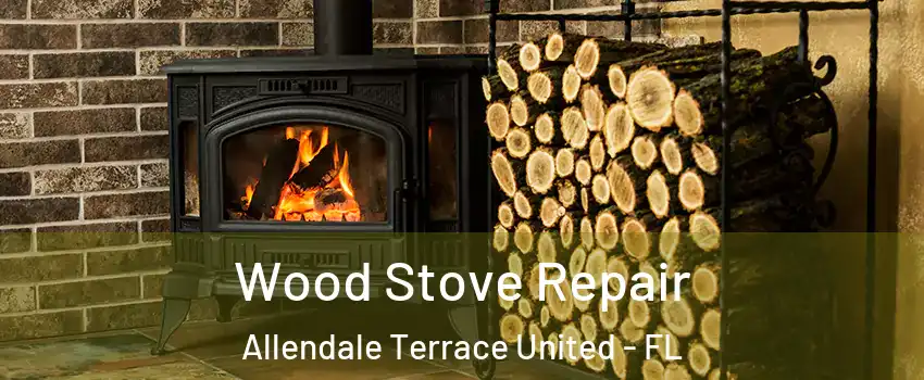 Wood Stove Repair Allendale Terrace United - FL