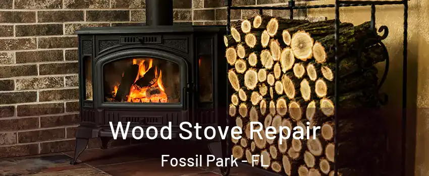 Wood Stove Repair Fossil Park - FL