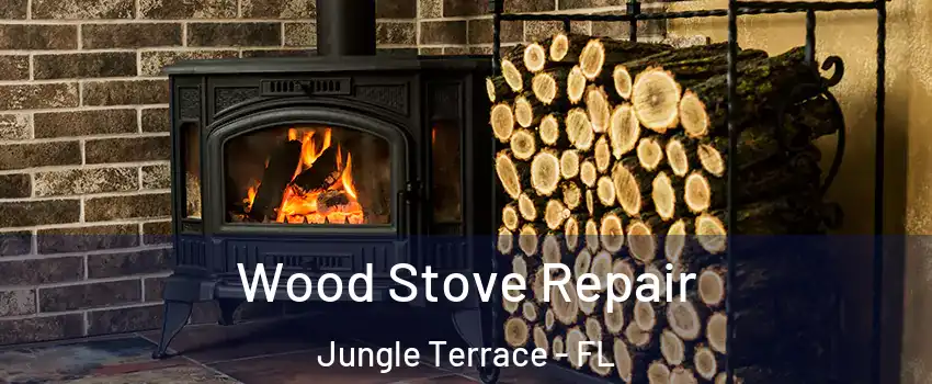 Wood Stove Repair Jungle Terrace - FL